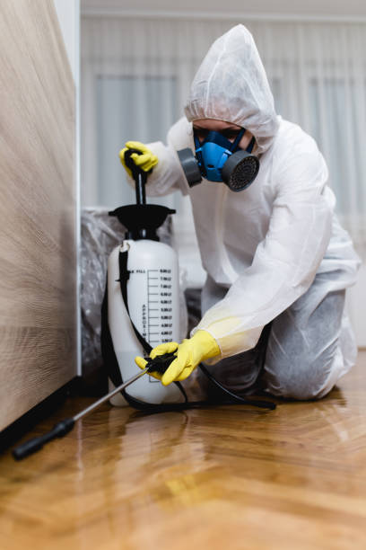 Professional Pest Control in Webberville, MI